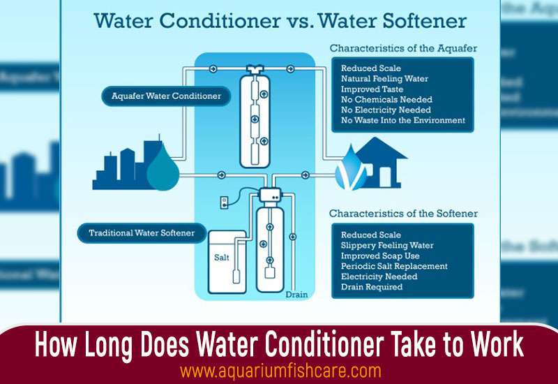 How Long Does Water Conditioner Take to Work