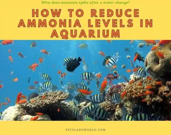 How To Reduce Water Hardness In Aquarium