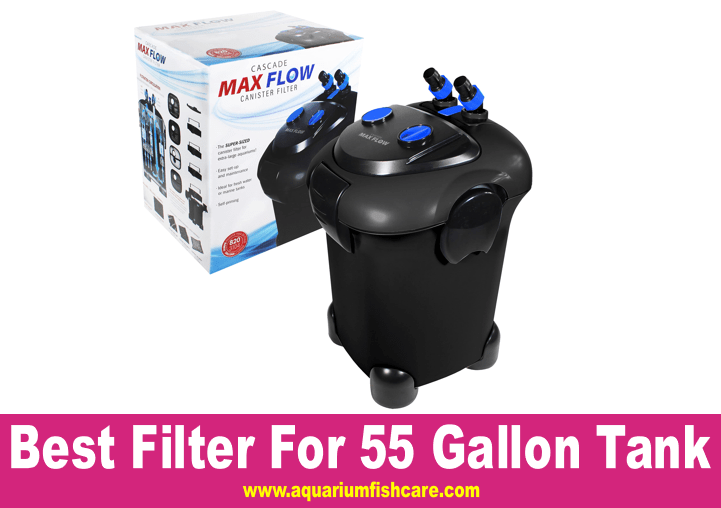 Best Filter For 55 Gallon Tank