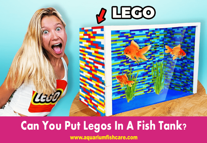 Can You Put Legos In A Fish Tank?